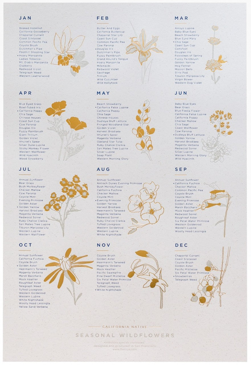 Foil Pressed California Native Wildflower Poster